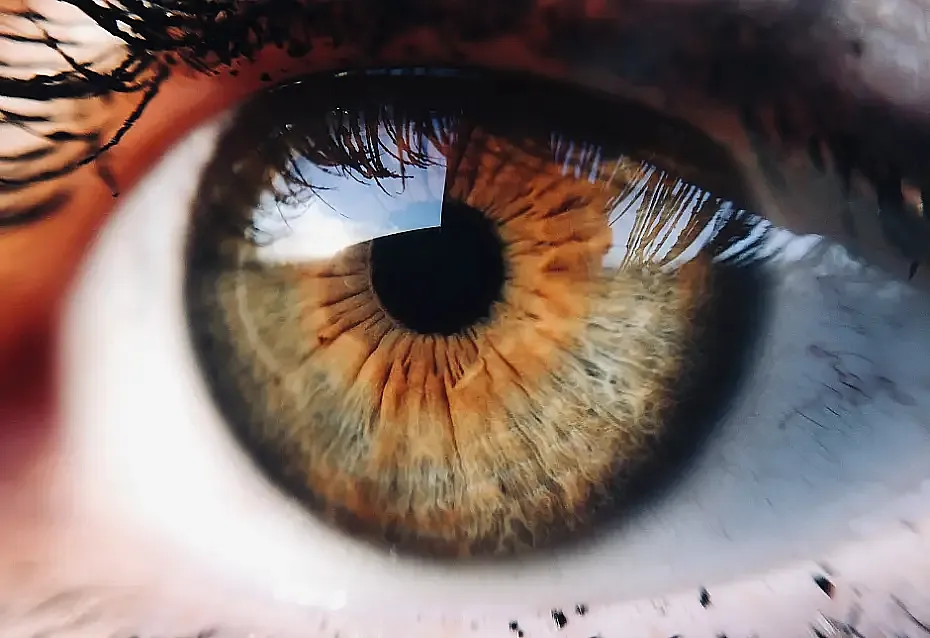 Detailaufnahme von einem Auge