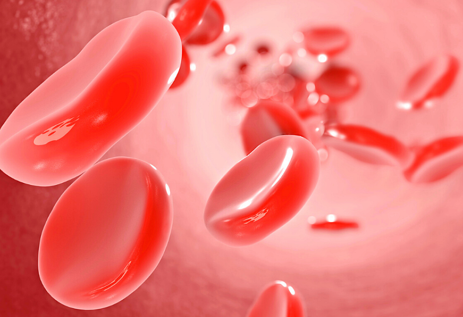 grafik-erythrozyten-rote-blutkörperchen