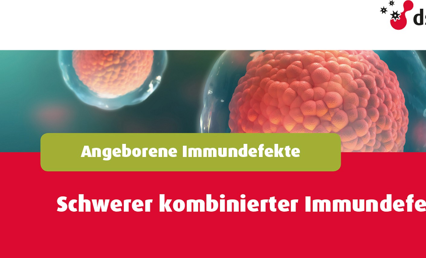 Flyer zum Tag der Immunologie