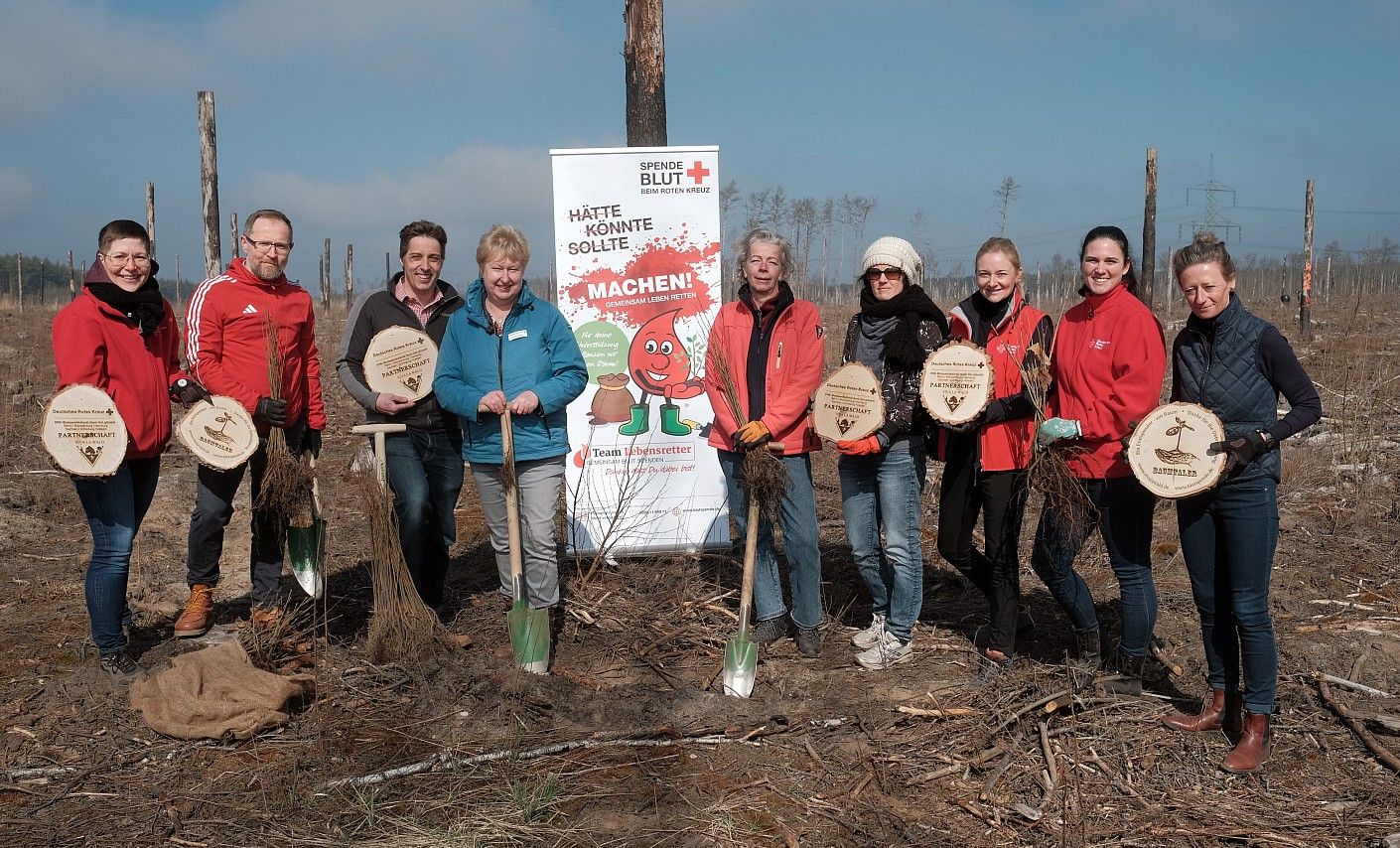 Baumpflanz-Aktion Beelitz-Brandenburg 28.03.2025