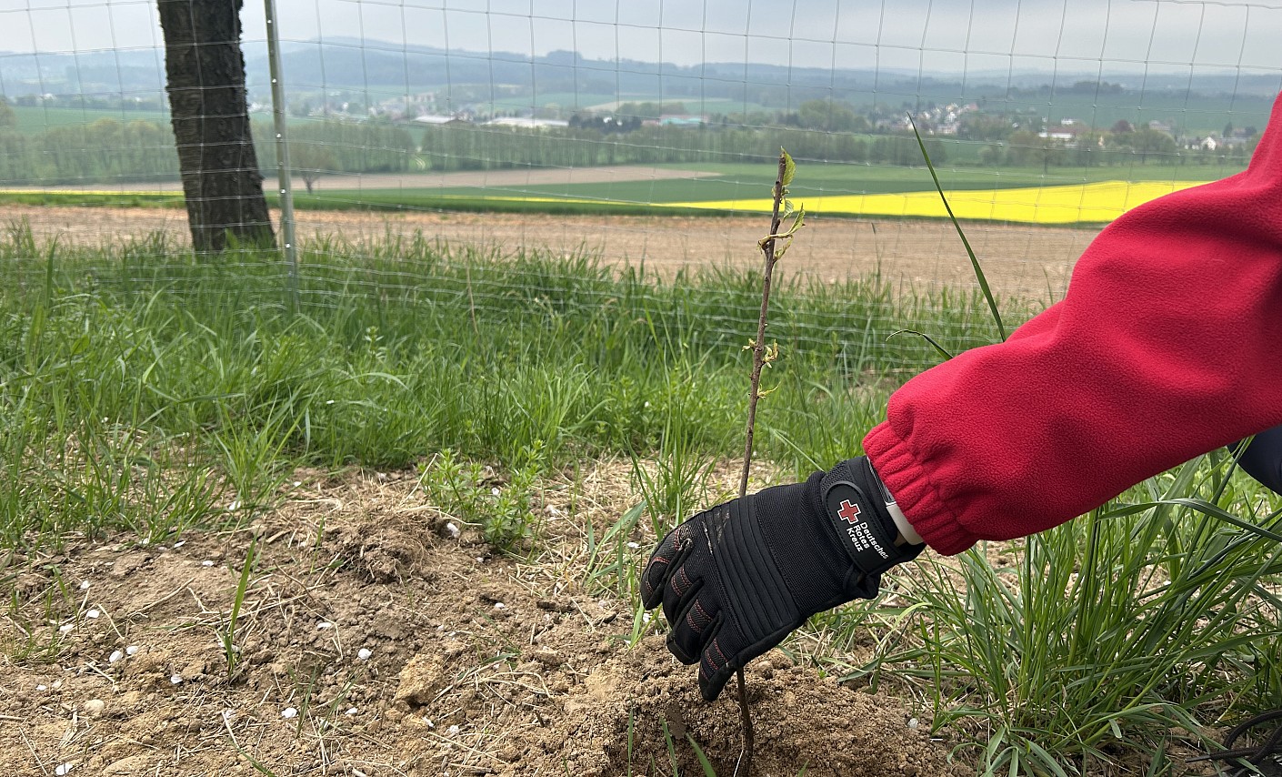 Haselbachtal-Gersdorf_9