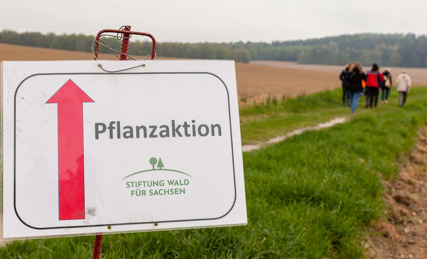 Haselbachtal-Gersdorf_1