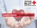 Symbol DRK-Blutspende Sommer-Blutspende Cottbus