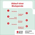 Ablauf Blutspende